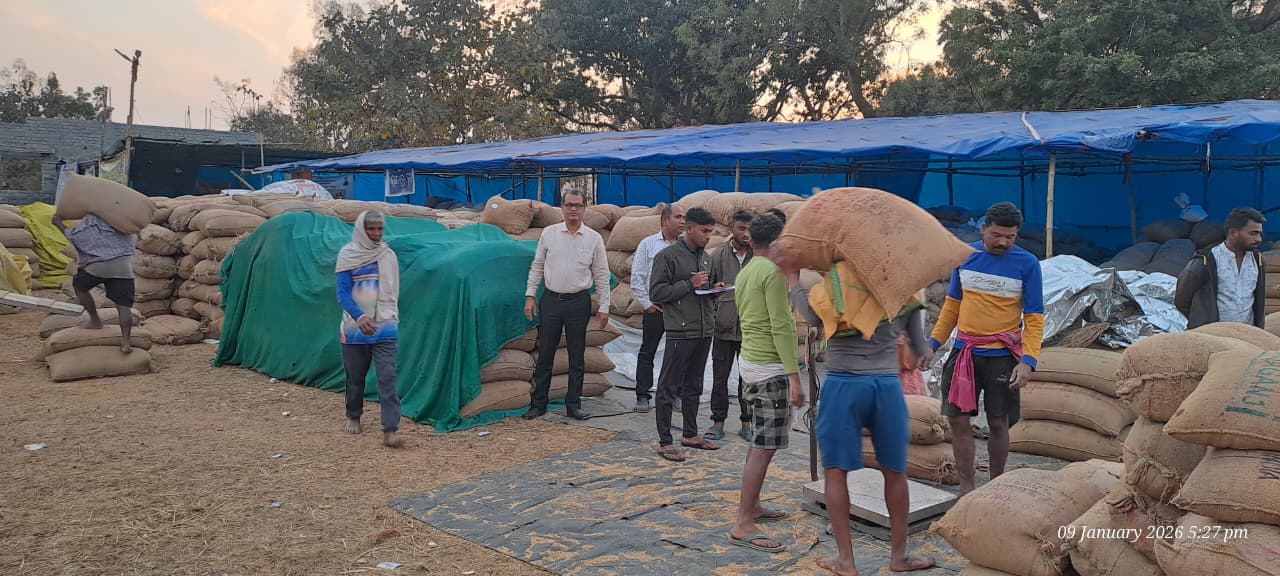 ରାଜ୍ୟର ସମସ୍ତ ଜିଲ୍ଲାରେ ଧାନ ସଂଗ୍ରହ ତ୍ୱରାନ୍ୱିତ : ୭ ଲକ୍ଷ ଚାଷୀଙ୍କ ଠାରୁ ଧାନ ସଂଗ୍ରହ ଓ ୭୯୧୪ କୋଟି ଦେୟ ପ୍ରଦାନ