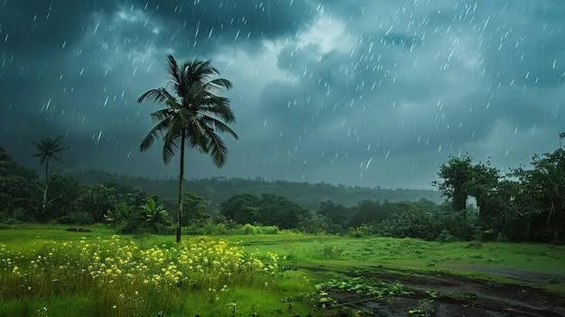 ଓଡ଼ିଶା ଛୁଇଁଲା ଦକ୍ଷିଣ-ପଶ୍ଚିମ ମୌସୁମୀ ବାୟୁ